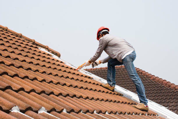 Best Roof Leak Repair  in Blountville, TN