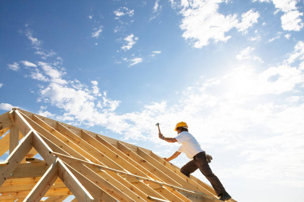 Best Solar Panel Roofing Installation  in Blountville, TN